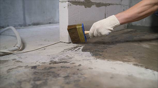 Top rated local Interior Drainage System specialists in Johnson City, KS